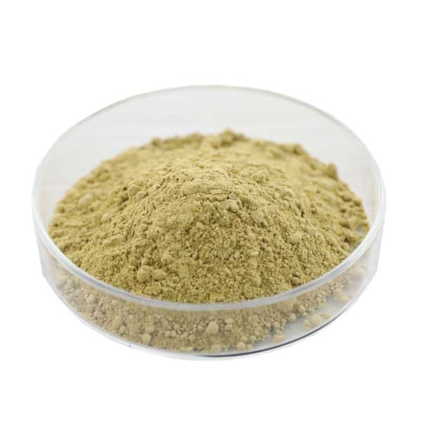 Lyofilisoitu Royal Jelly Powder